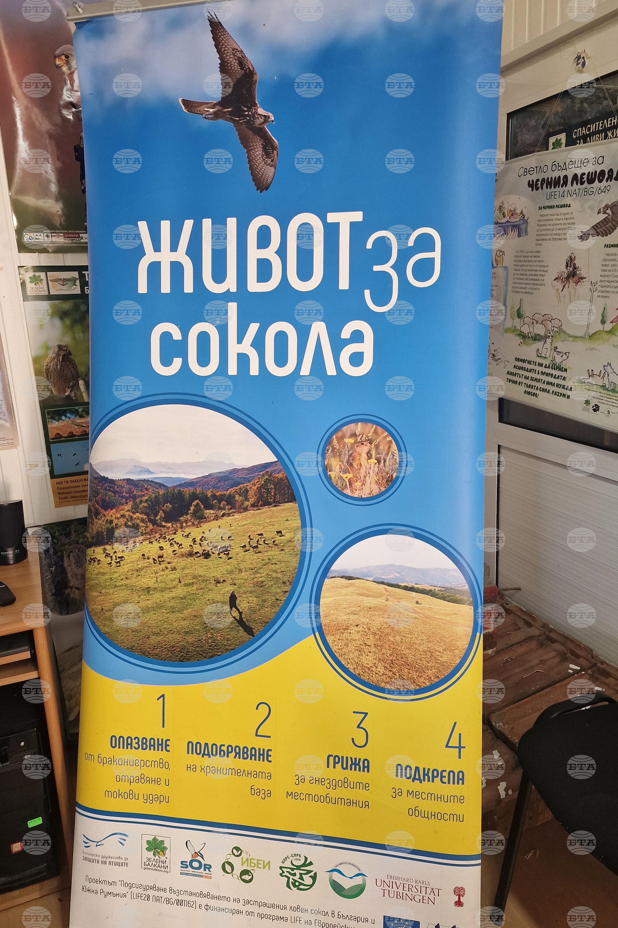 Стара Загора - „Зелени Балкани“ - „Живот за сокола“ - проект