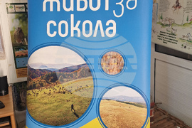 Стара Загора - „Зелени Балкани“ - „Живот за сокола“ - проект