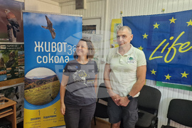 Стара Загора - „Зелени Балкани“ - „Живот за сокола“ - проект