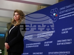 Процес за сътрудничество в Югоизточна Европа - президент - участници - посрещане