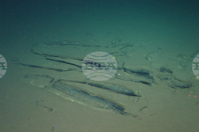 Science Whale Graveyard