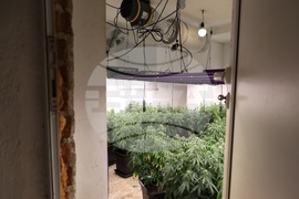 София - СДВР - акция срещу наркоразпространението