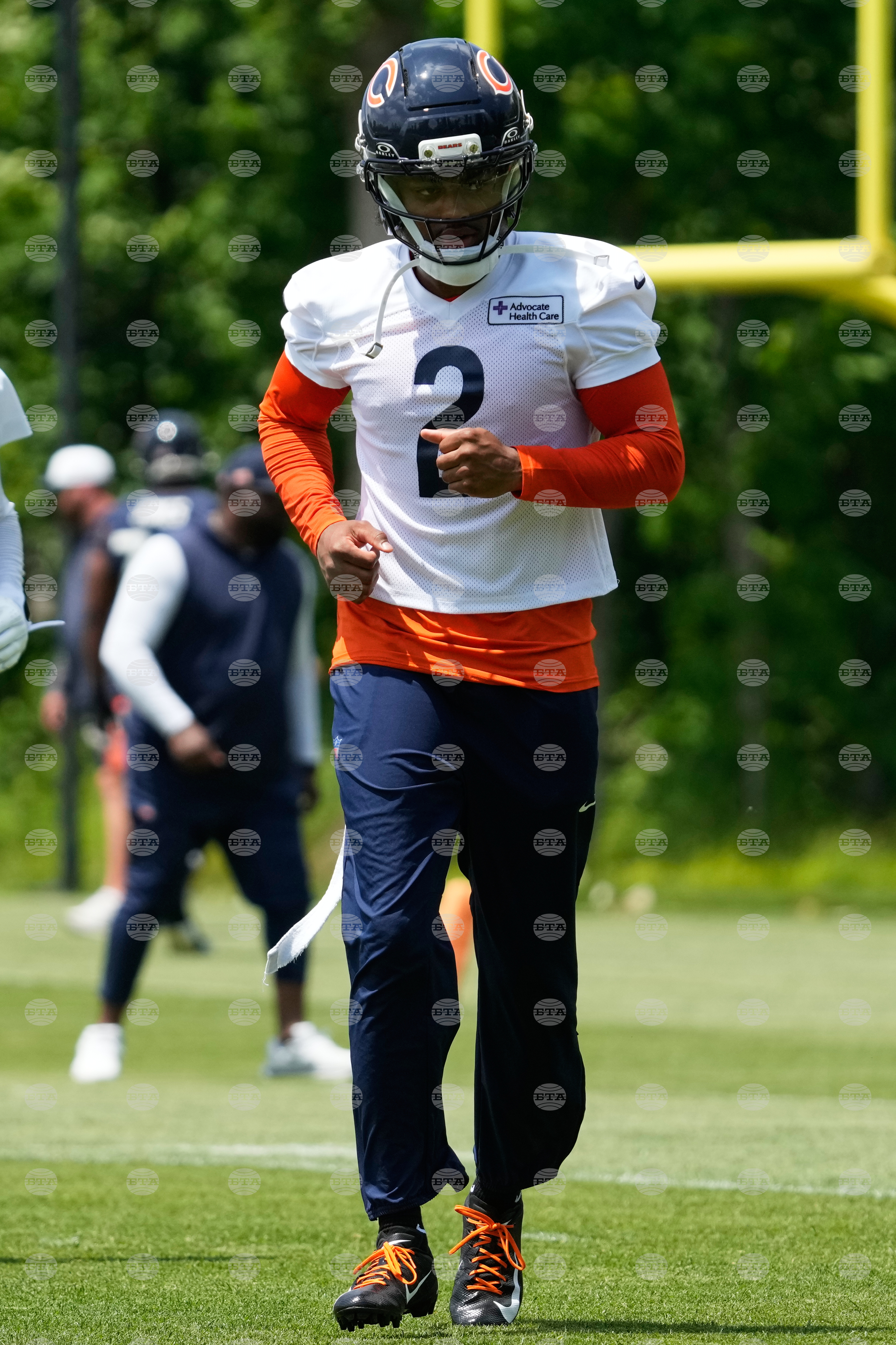 Bears Football