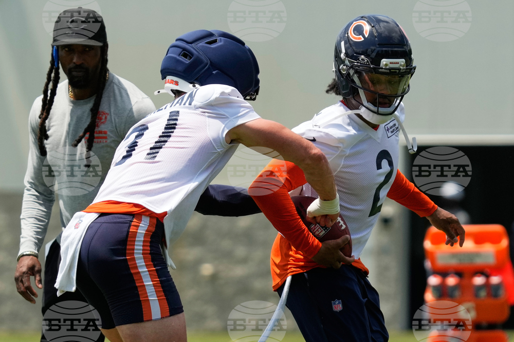 Bears Football