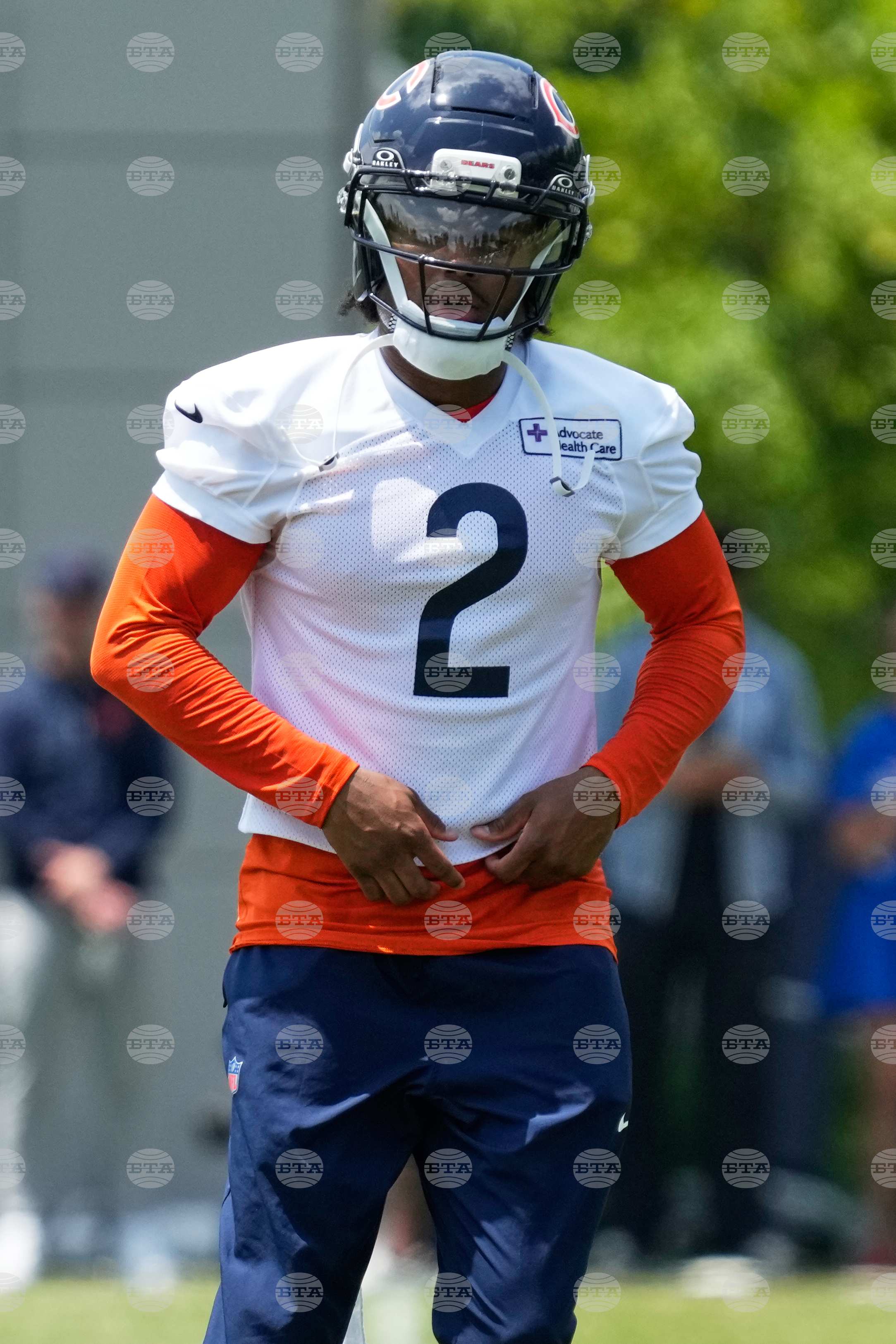 Bears Football
