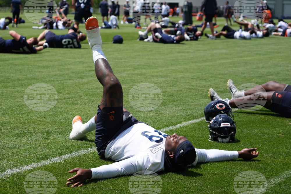 Bears Football