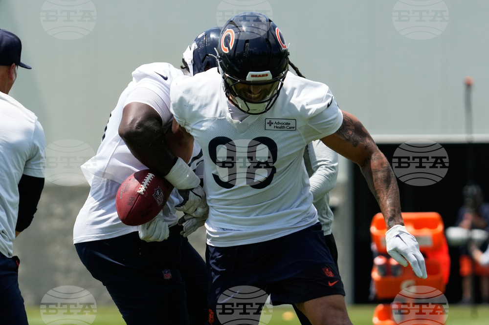 Bears Football