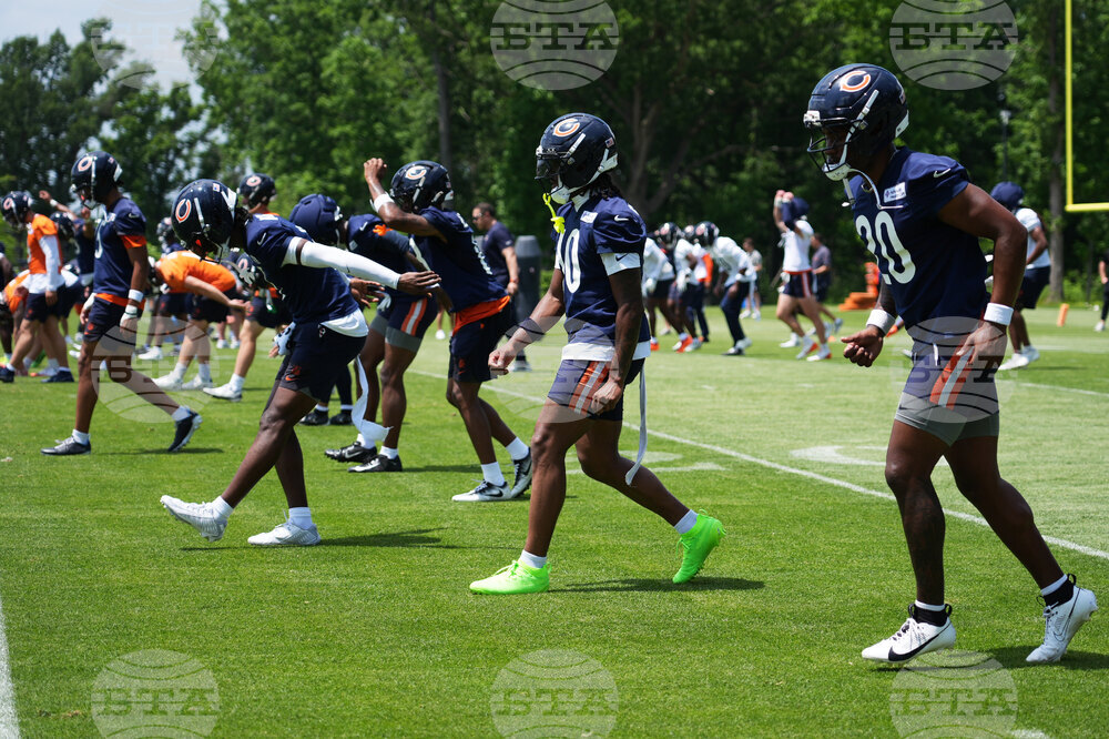 Bears Football
