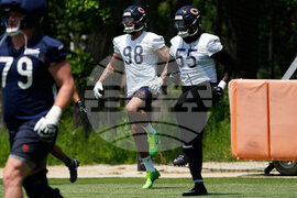 Bears Football