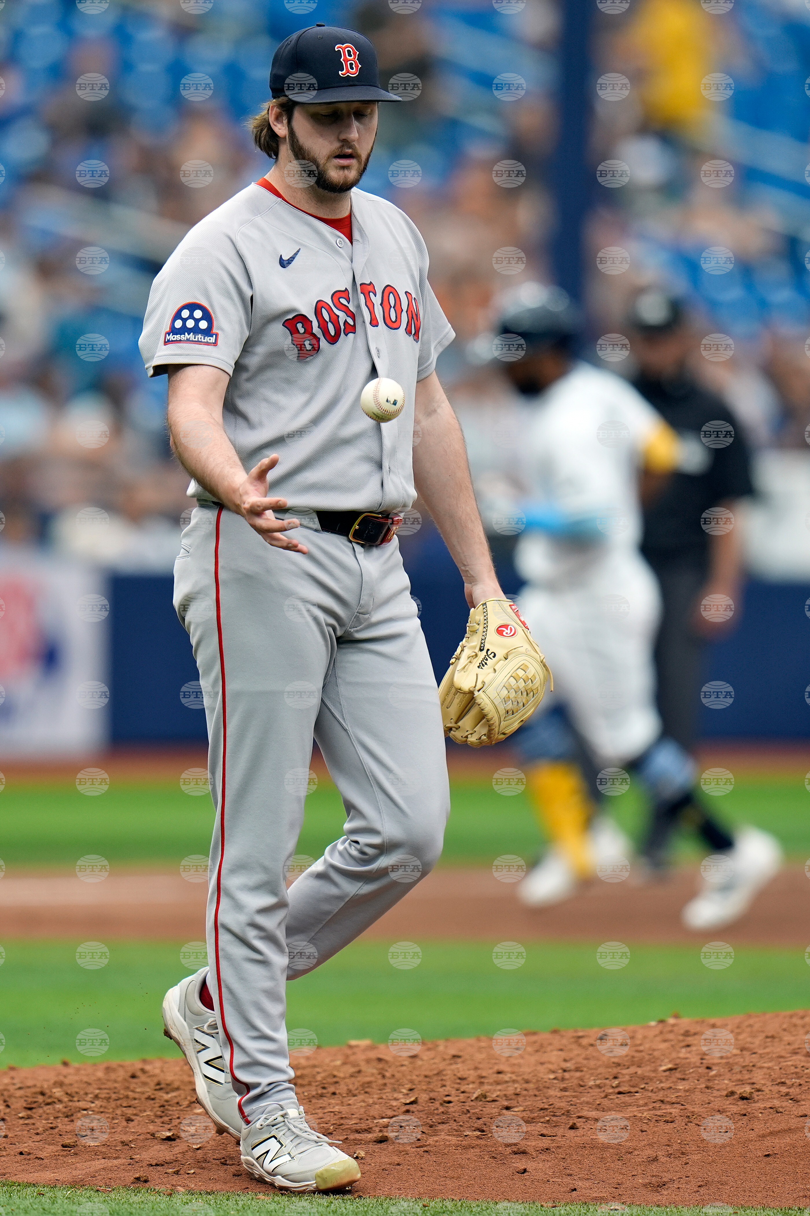 Red Sox Rays Baseball