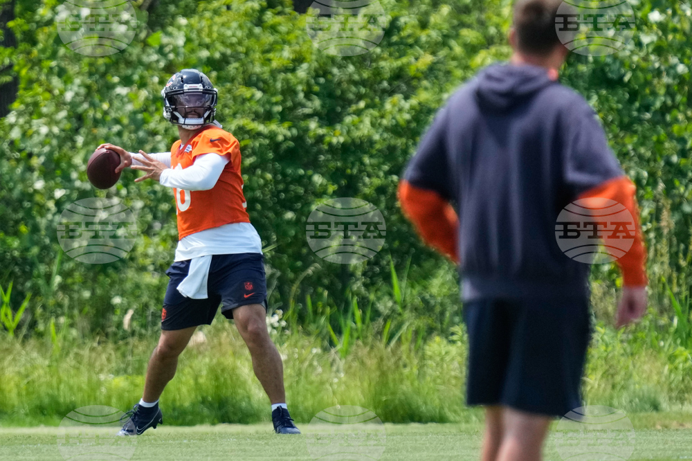 Bears Football