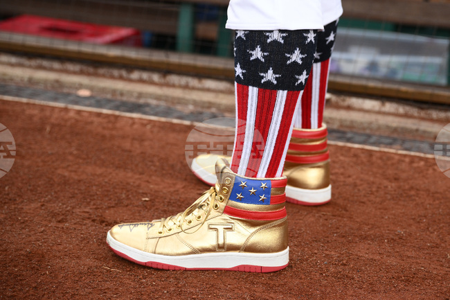 Congressional Baseball