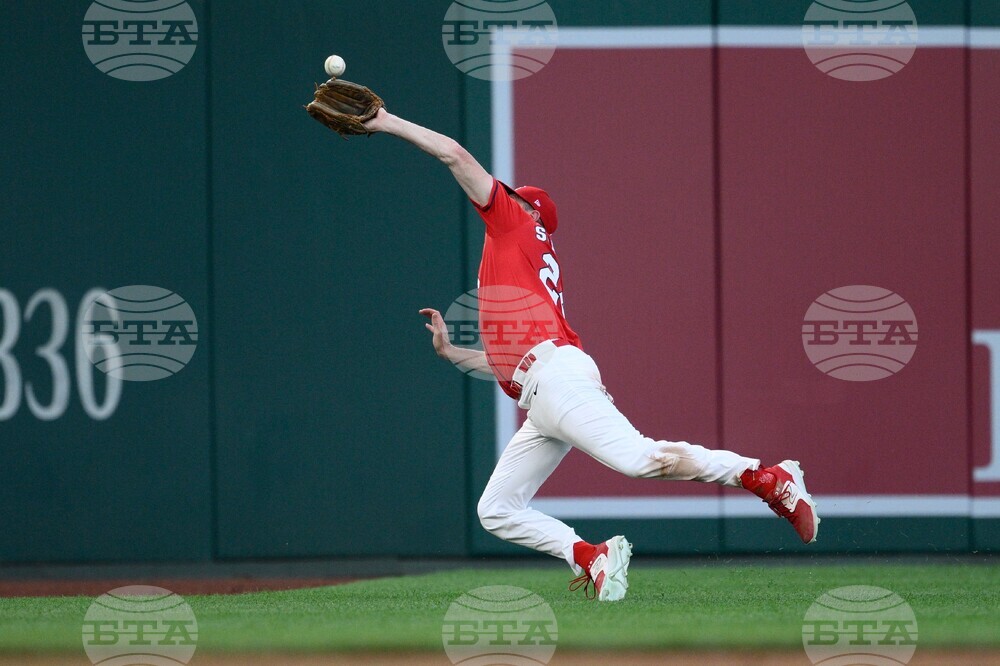 Congressional Baseball