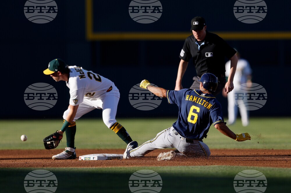 Brewers Athletics Baseball