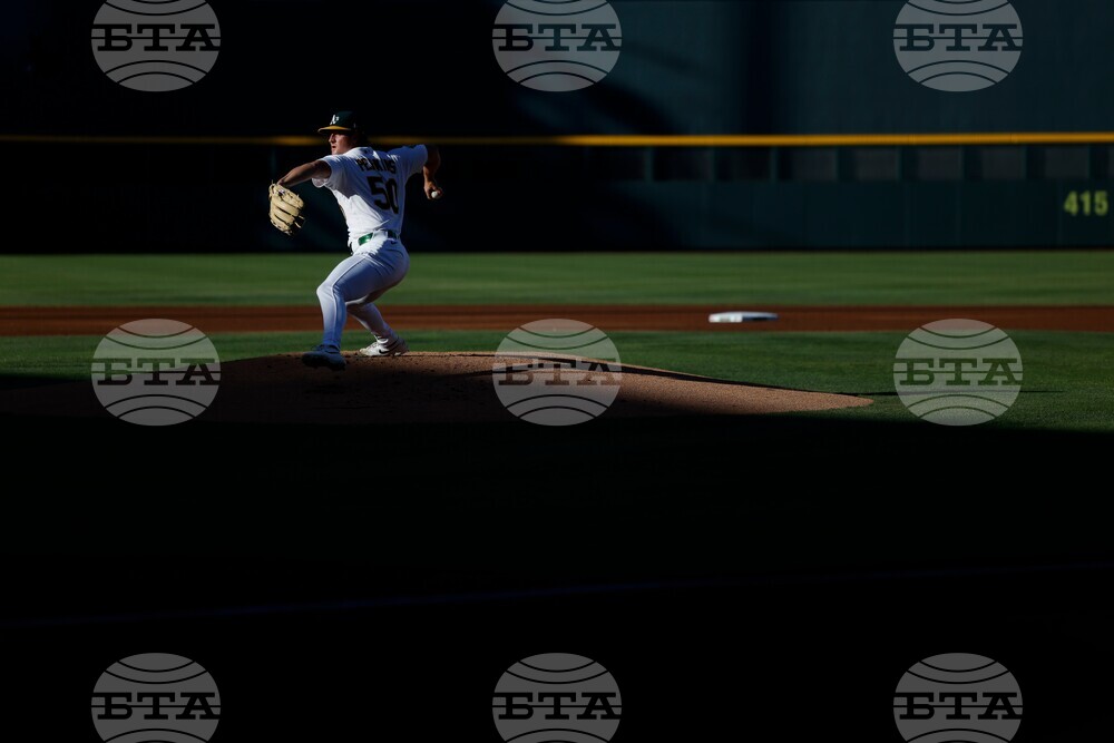 Brewers Athletics Baseball