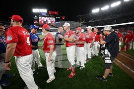 Congressional Baseball