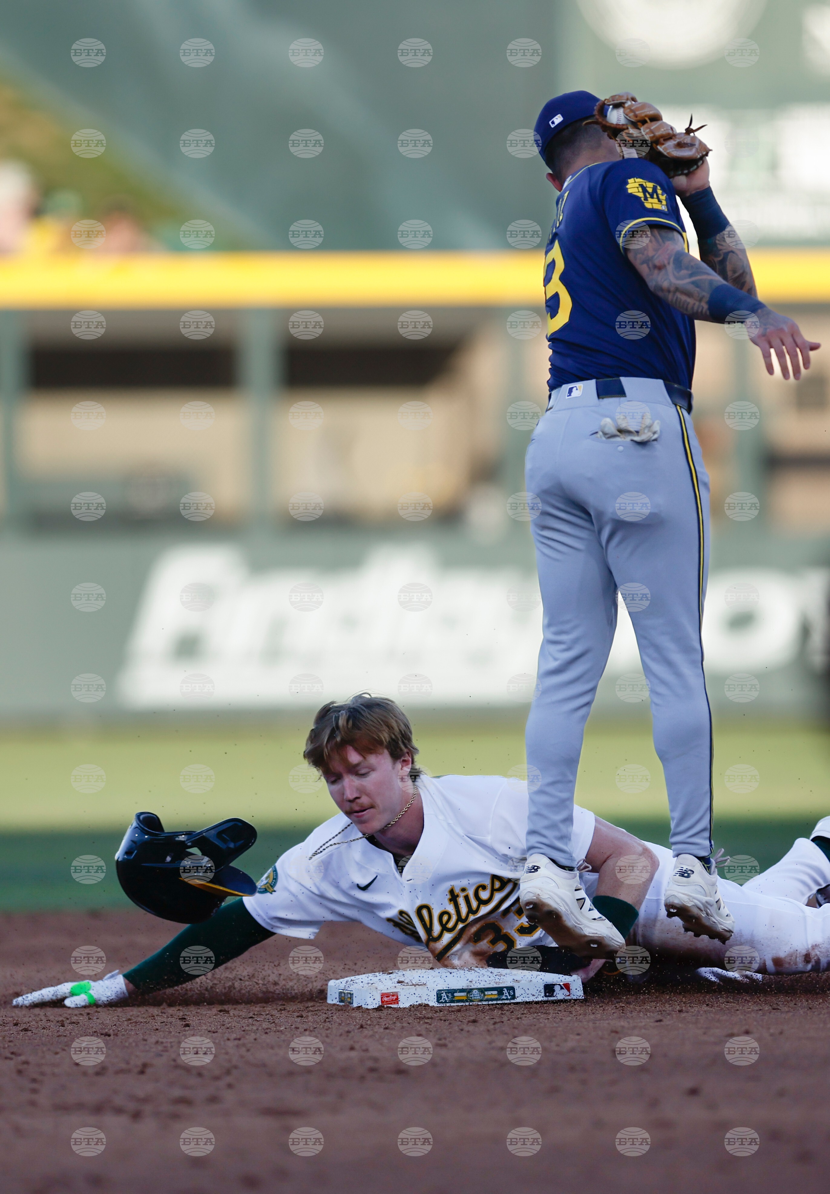 Brewers Athletics Baseball