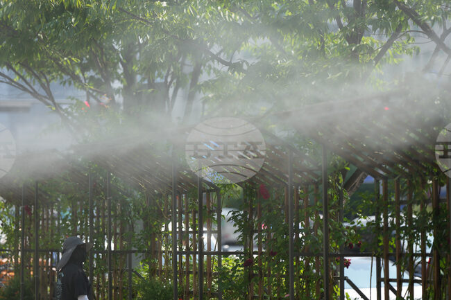 South Korea Extreme Weather Heat