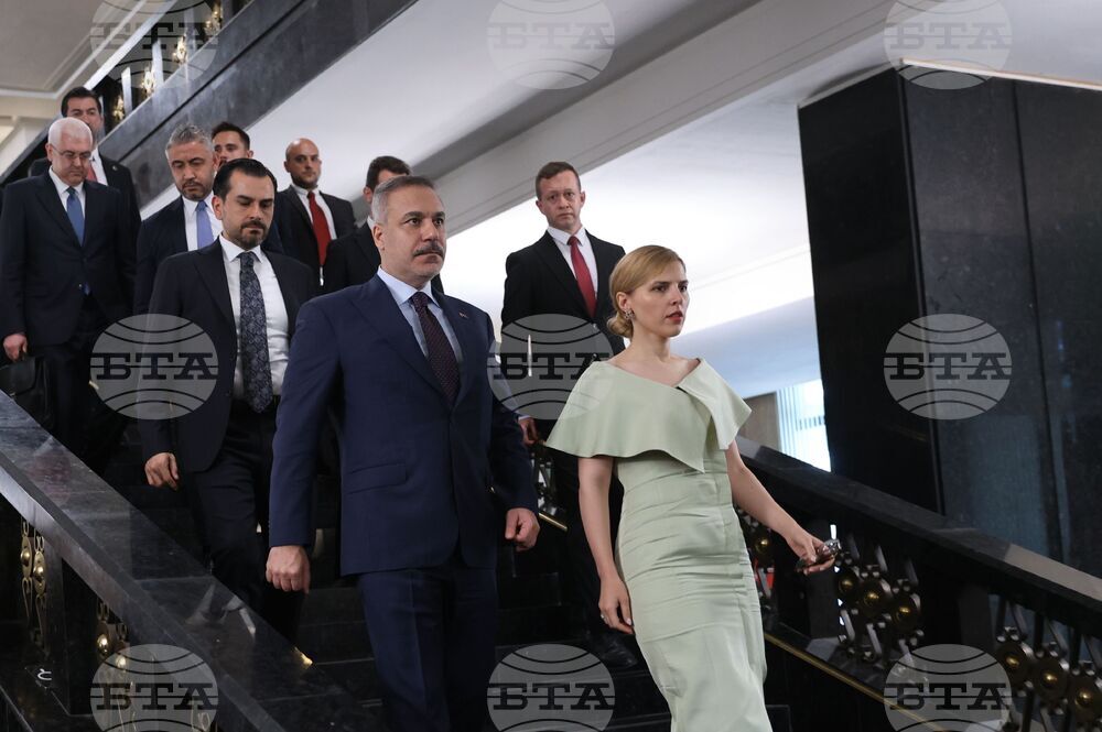 Велислава Петрова-Чамова - Хакан Фидан - изявление