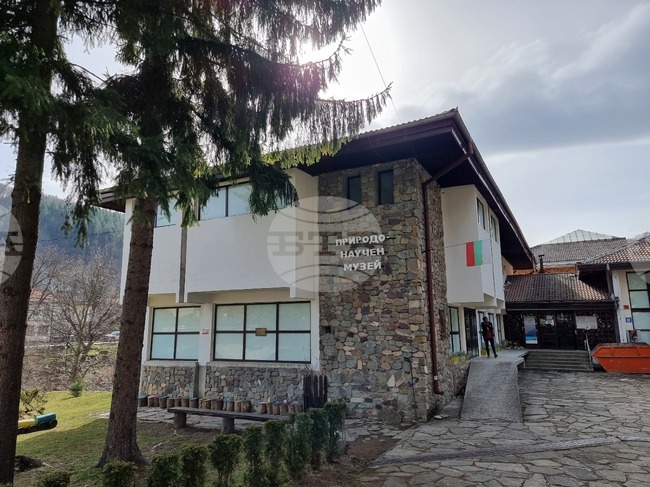 Поредица от образователни инициативи, свързани с птиците, организират в Природонаучния музей в троянското село Черни Осъм