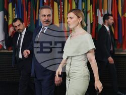 Министерство на външните работи - Велислава Петрова-Чамова - Хакан Фидан