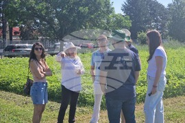 Кубрат - Сортови семена - полеви ден