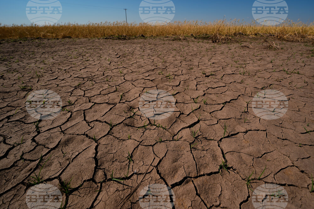 Climate El Nino