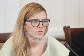 Народно събрание - Комисия по политиките за българите извън страната - заседание