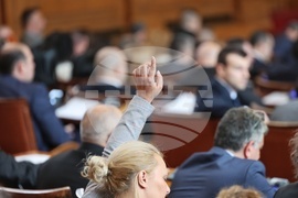 Парламент - заседание