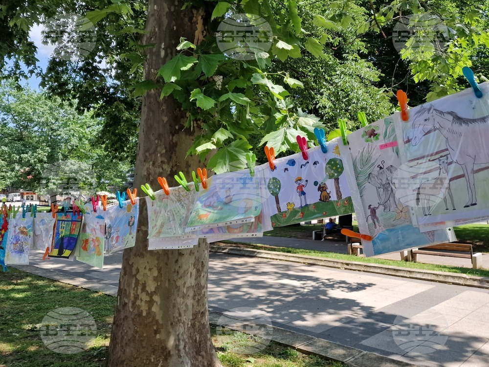 Монтана - изложба - деца - благотворителен базар