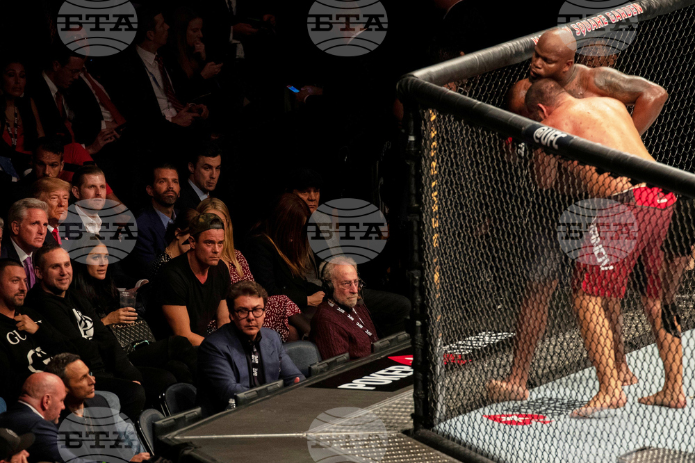 White House Lewis Mixed Martial Arts