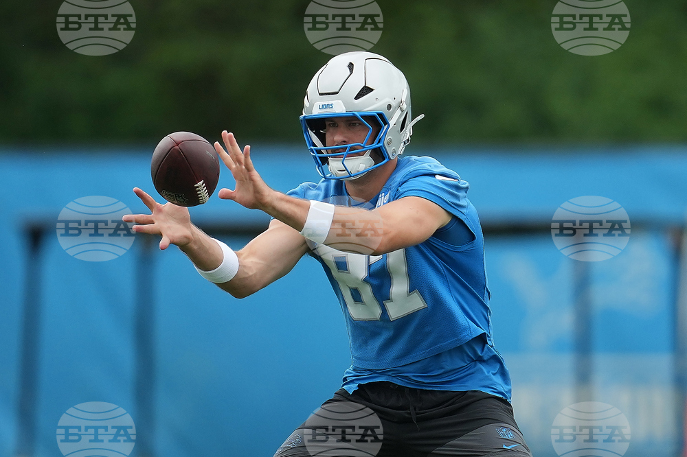 Lions Football