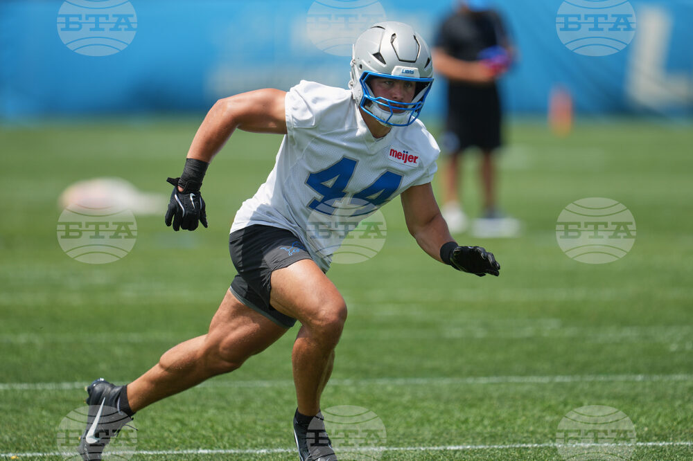 Lions Football