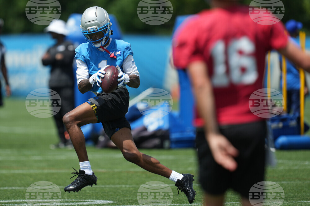 Lions Football