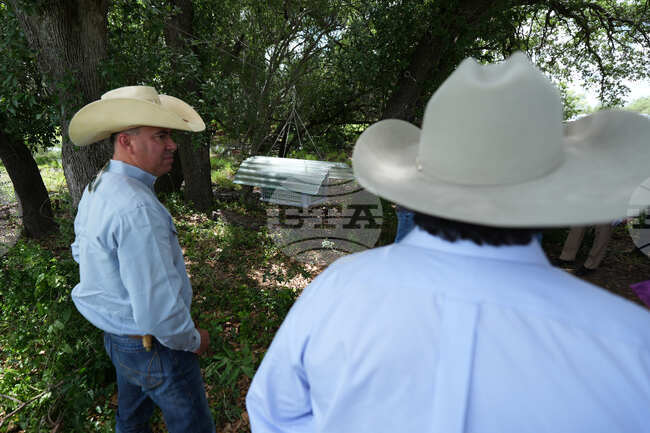 Screwworm Livestock