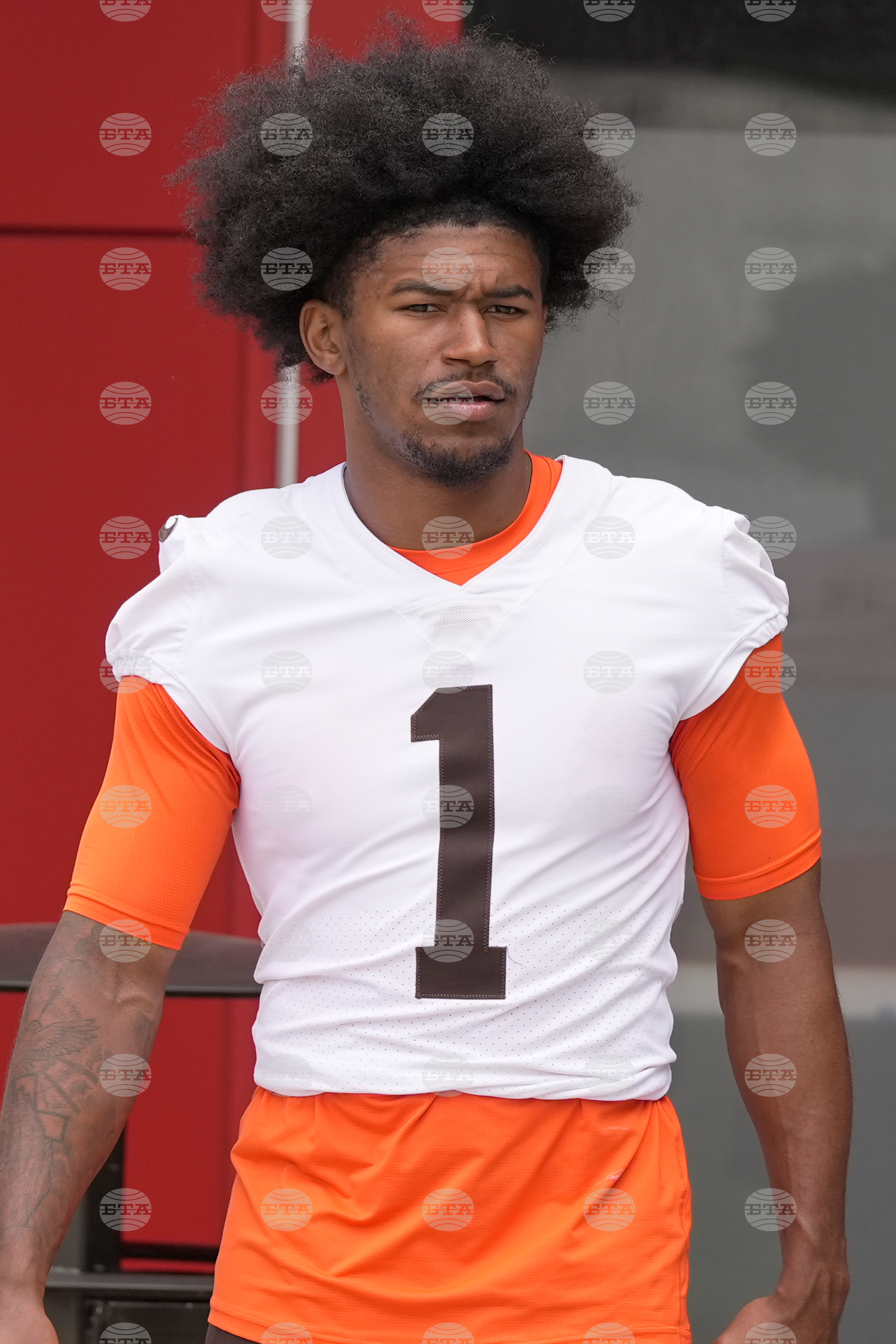 Browns Football