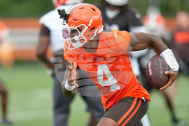 Browns Football