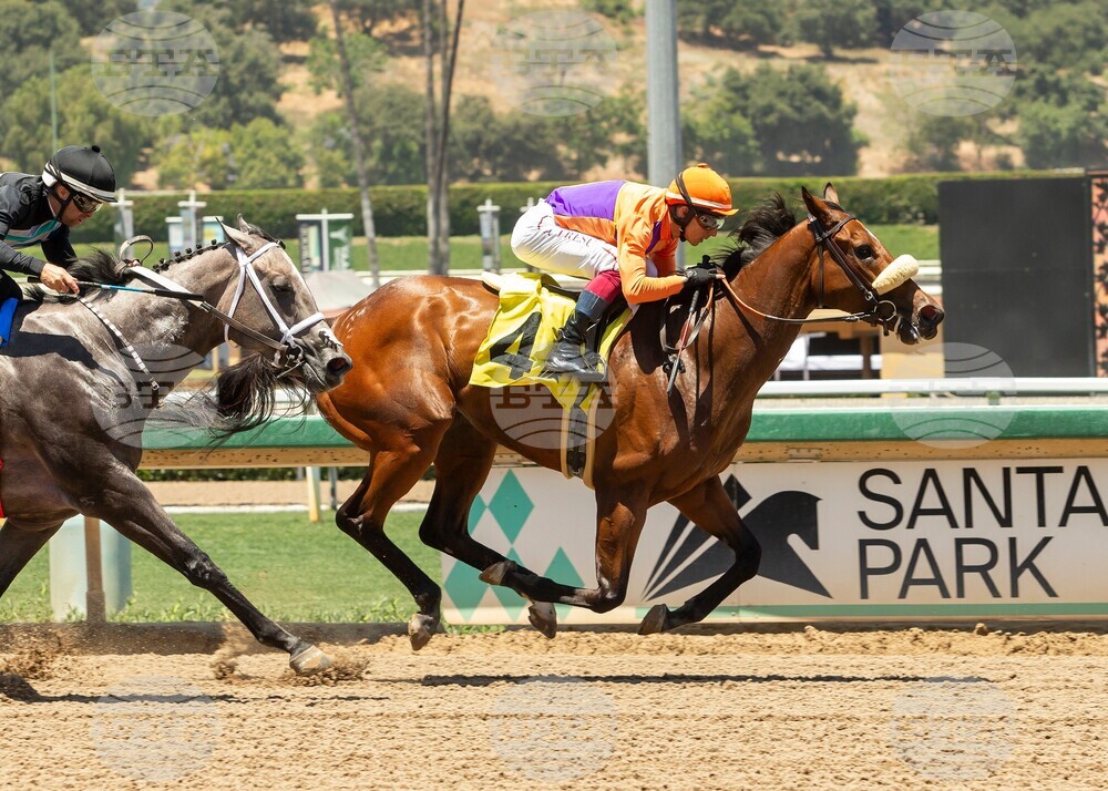 Santa Anita Horse Racing
