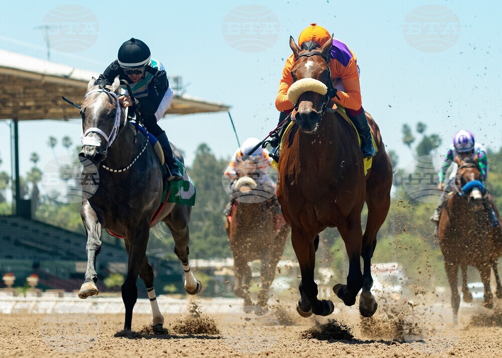 Santa Anita Horse Racing