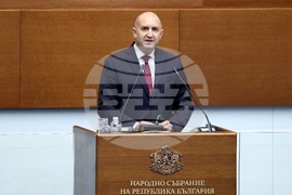 Народно събрание - Парламентарен контрол