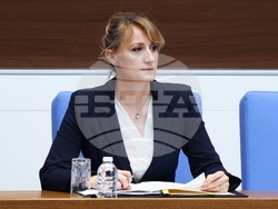 Народно събрание - Парламентарен контрол
