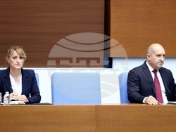 Народно събрание - Парламентарен контрол