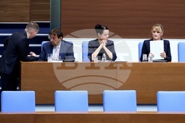 Народно събрание - Парламентарен контрол