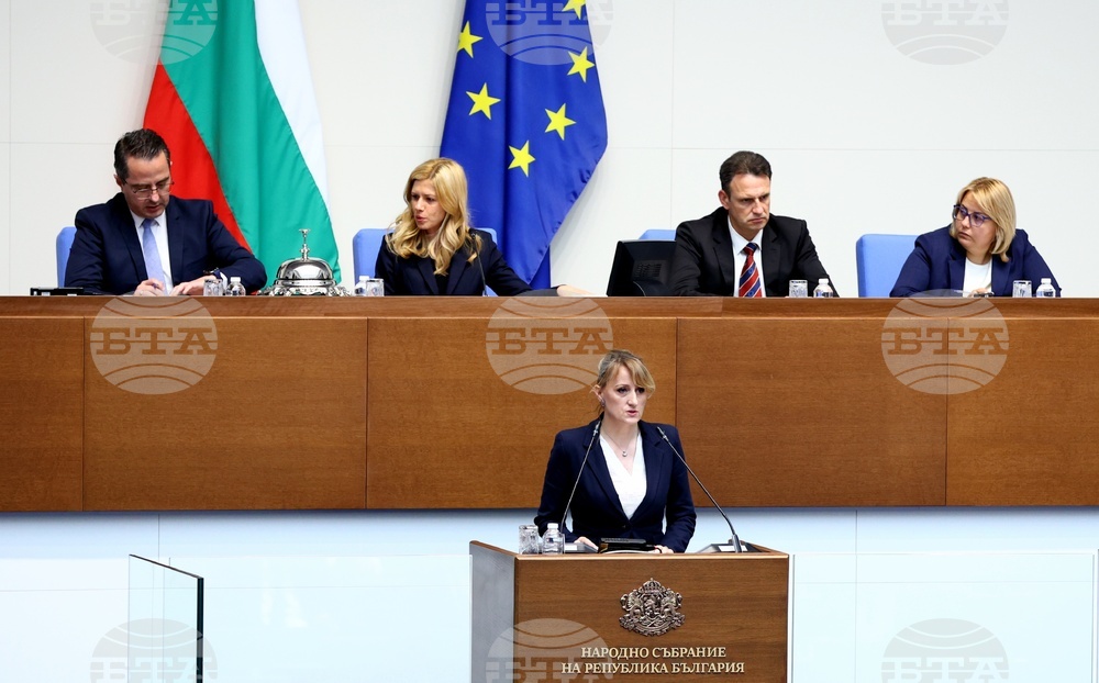 Народно събрание - Парламентарен контрол