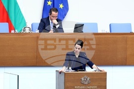 Народно събрание - Парламентарен контрол