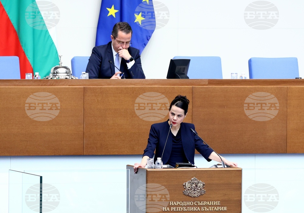 Народно събрание - Парламентарен контрол