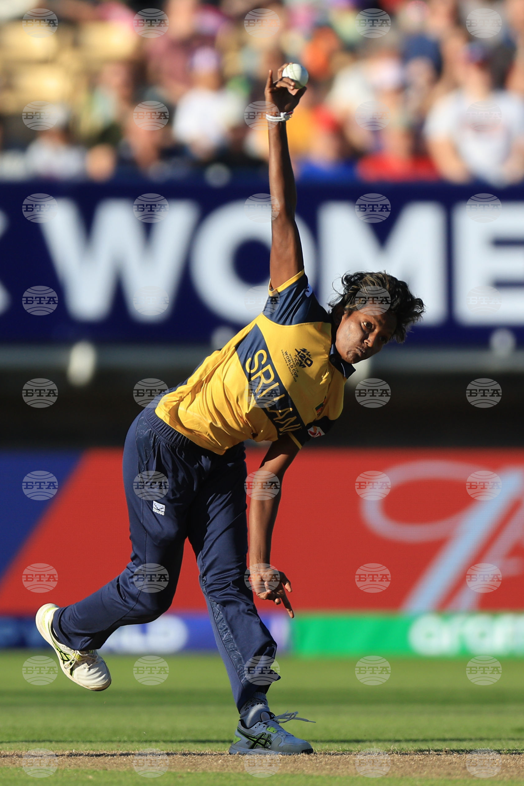 Britain T20 World Cup Cricket