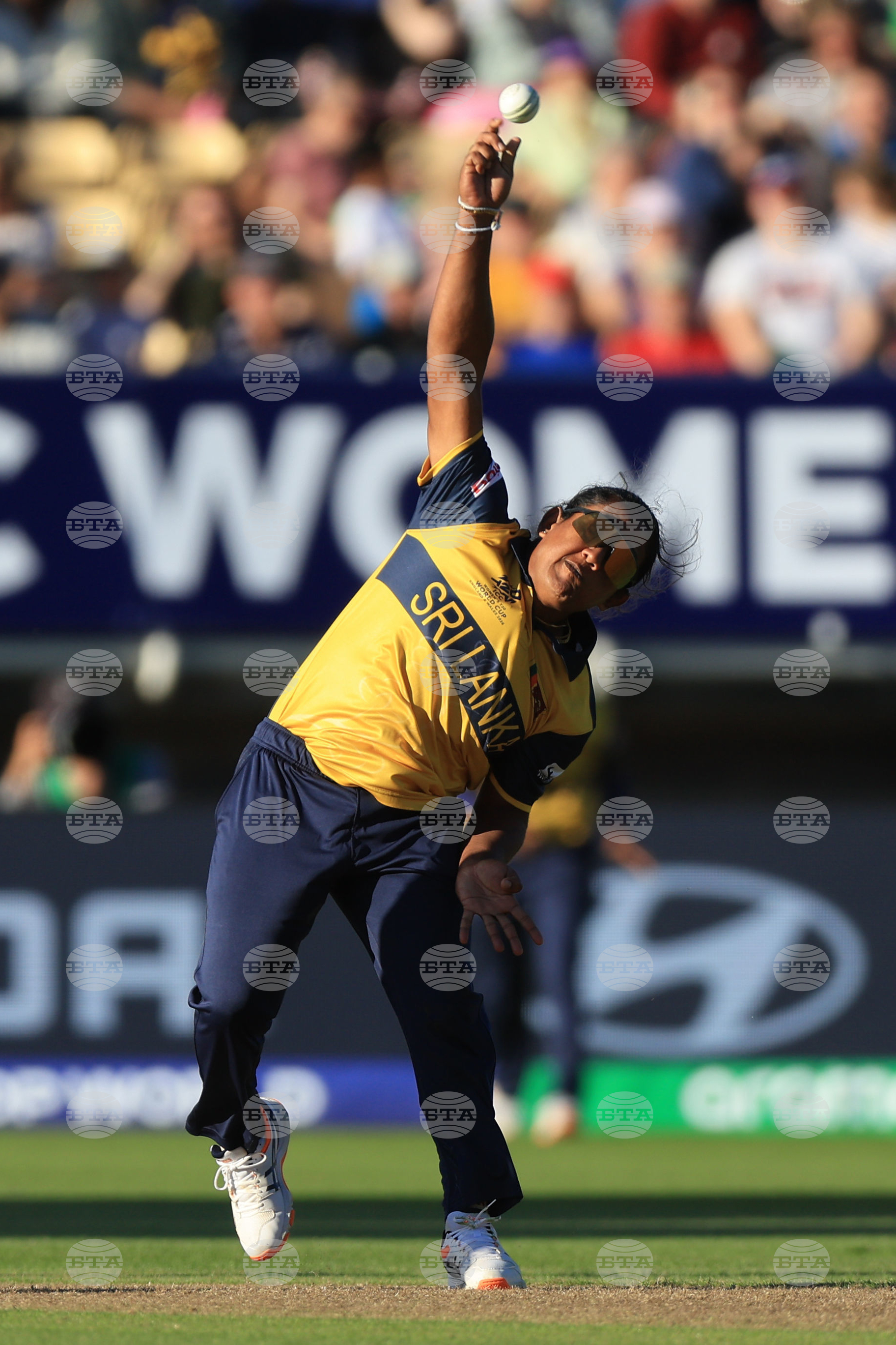 Britain T20 World Cup Cricket