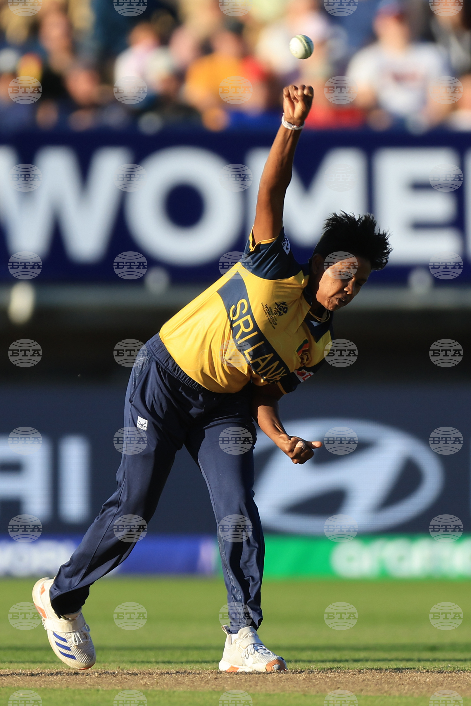 Britain T20 World Cup Cricket