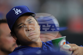 Dodgers White Sox Baseball